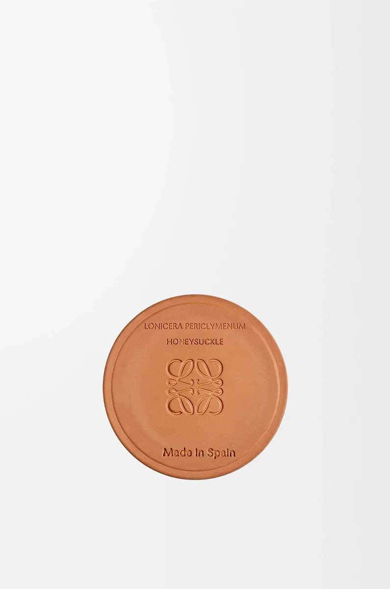 piccola candela caprifoglio gialla