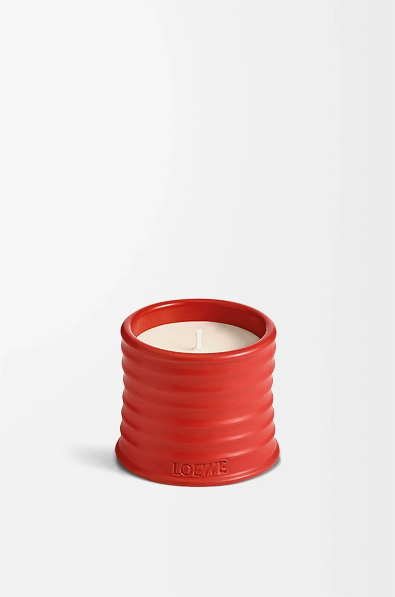 candela piccola con foglie di pomodoro rossa