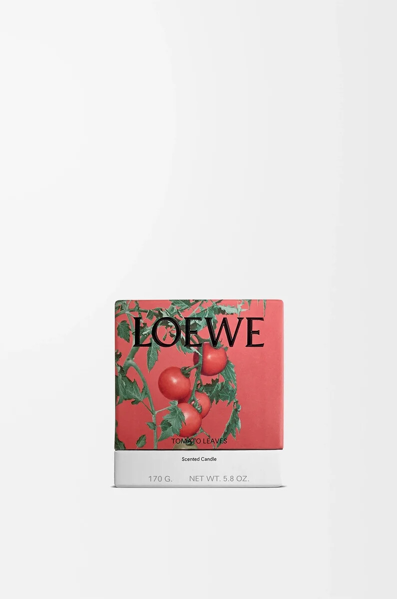 candela piccola con foglie di pomodoro rossa
