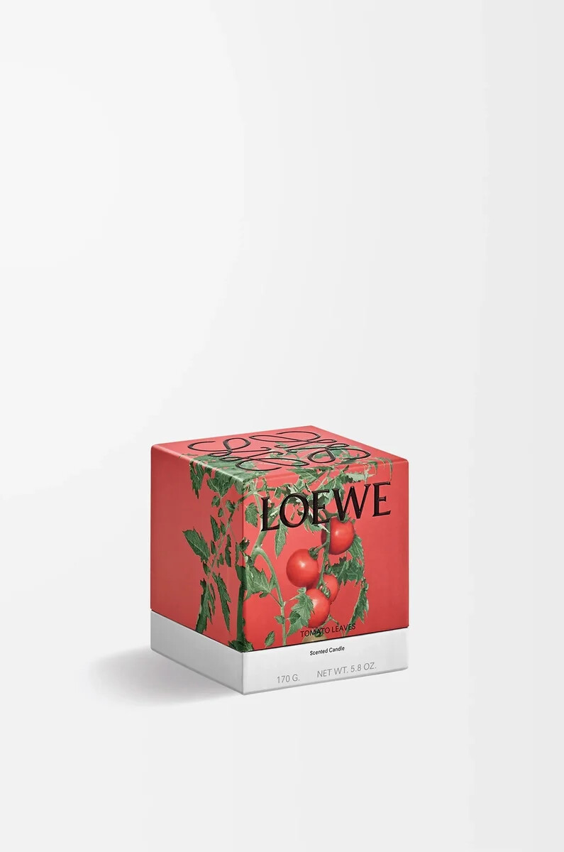 candela piccola con foglie di pomodoro rossa