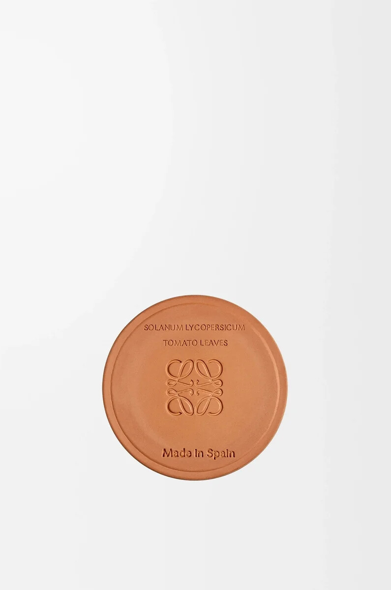 candela piccola con foglie di pomodoro rossa