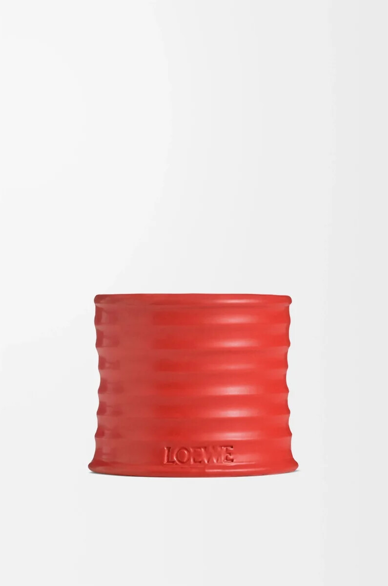candela piccola con foglie di pomodoro rossa