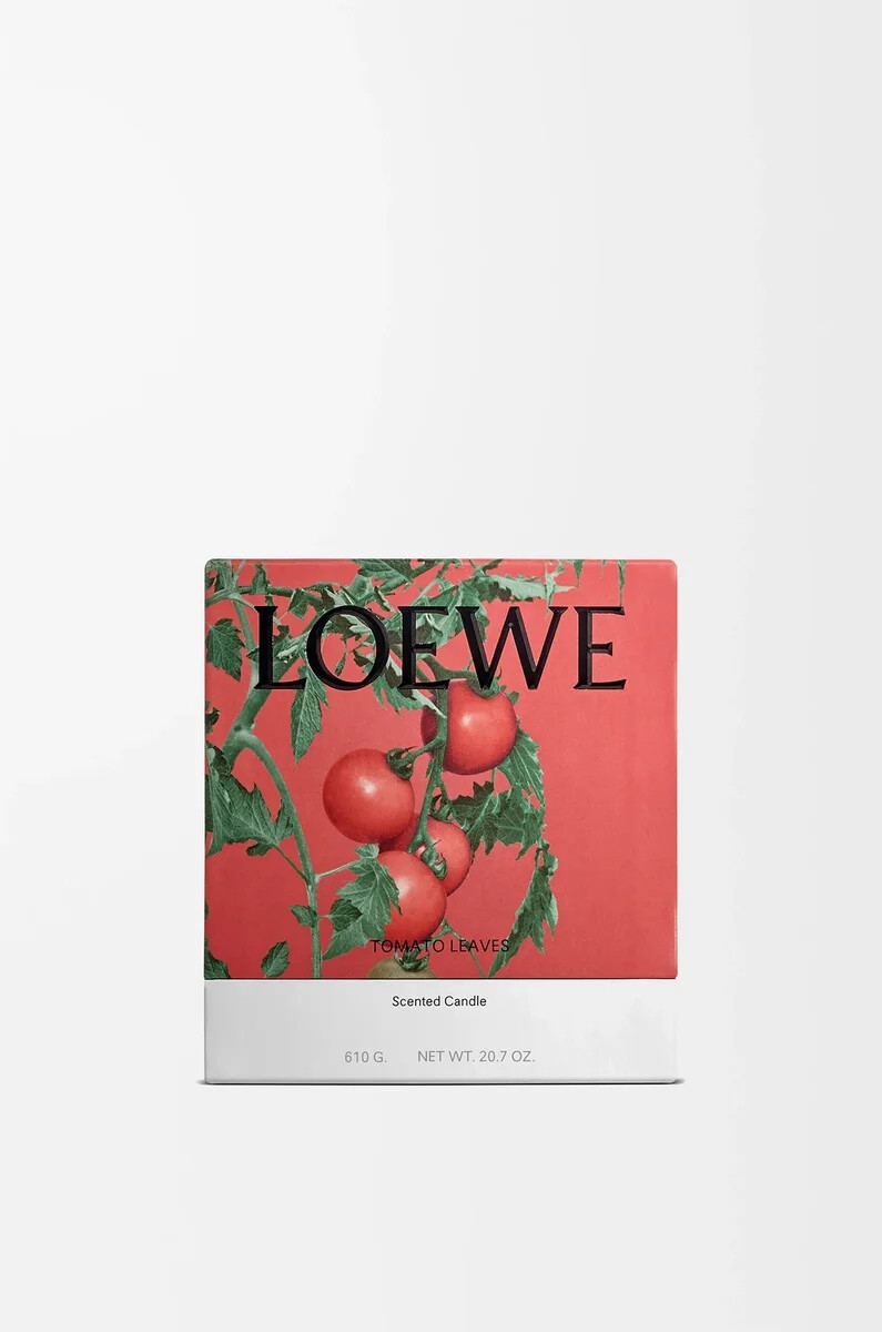 candela media foglie di pomodoro rossa