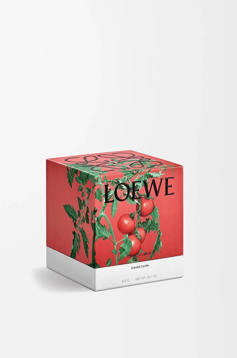 candela media foglie di pomodoro rossa
