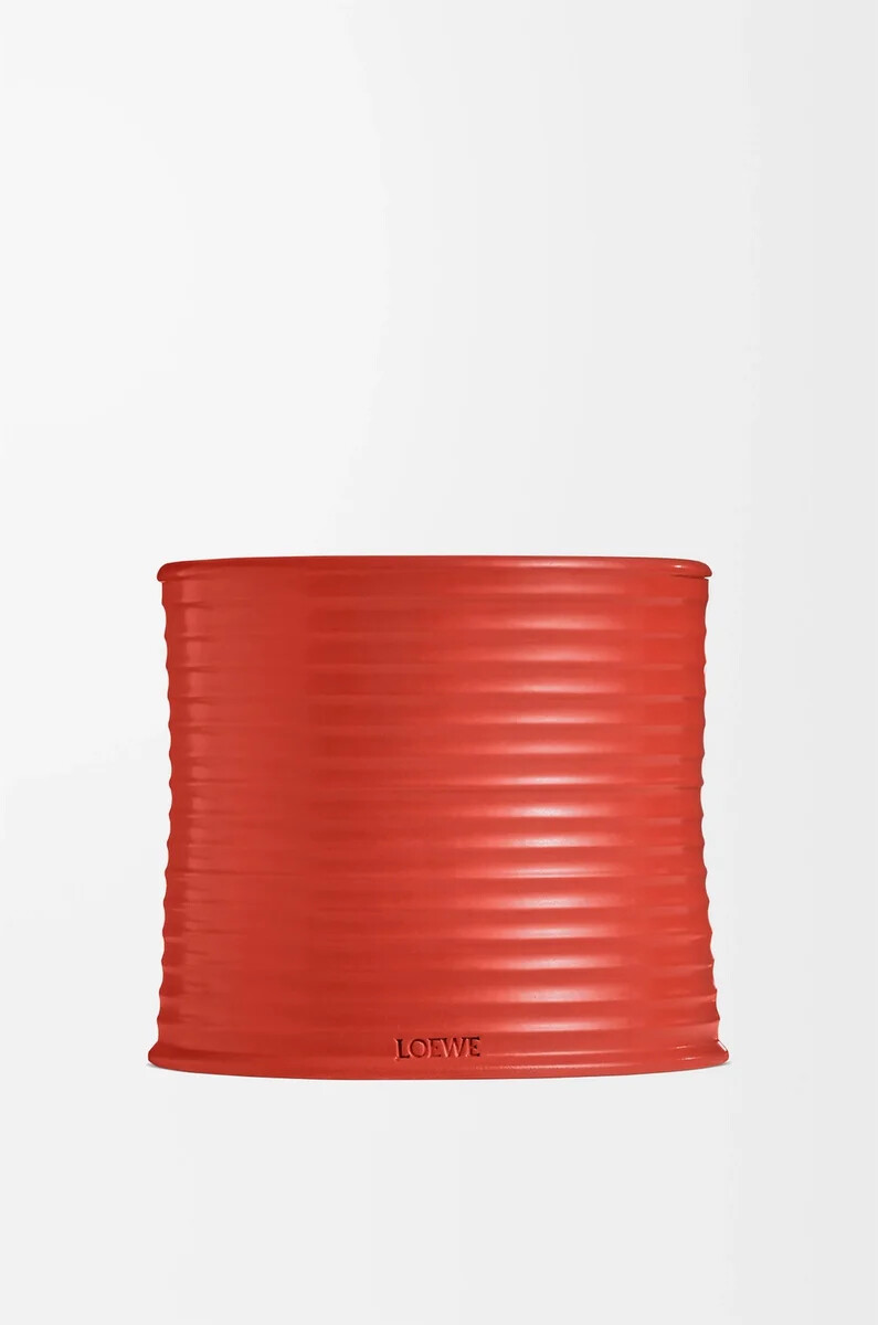candela media foglie di pomodoro rossa