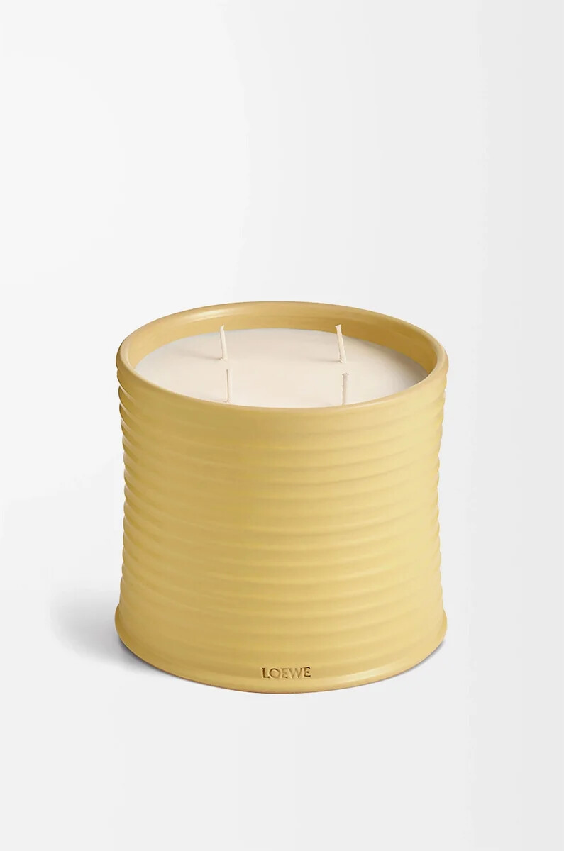 candela grande caprifoglio gialla