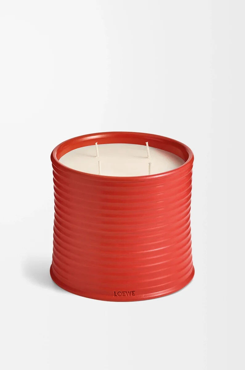 candela grande con foglie di pomodoro rossa