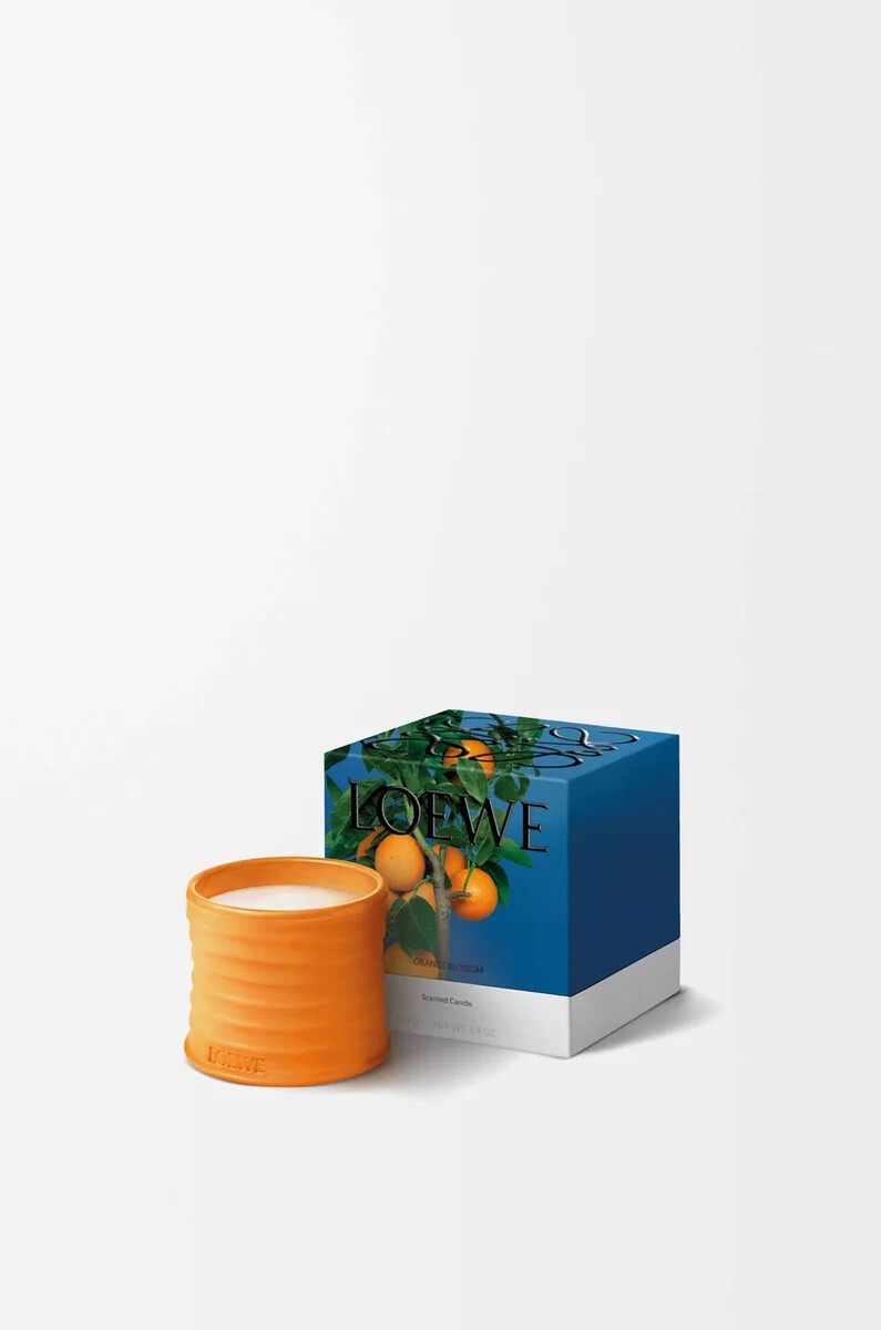 piccola candela ai fiori darancio mandarino brillante