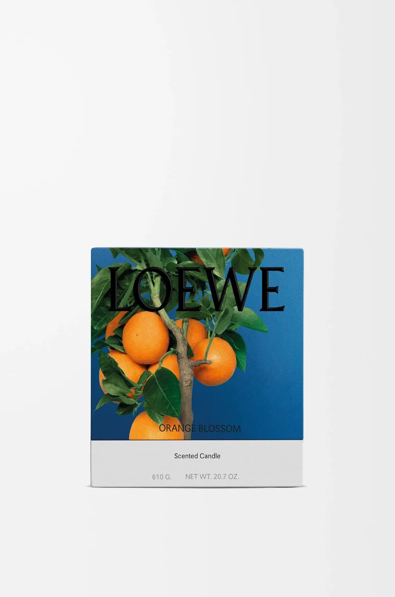 candela media al fiore darancio mandarino brillante