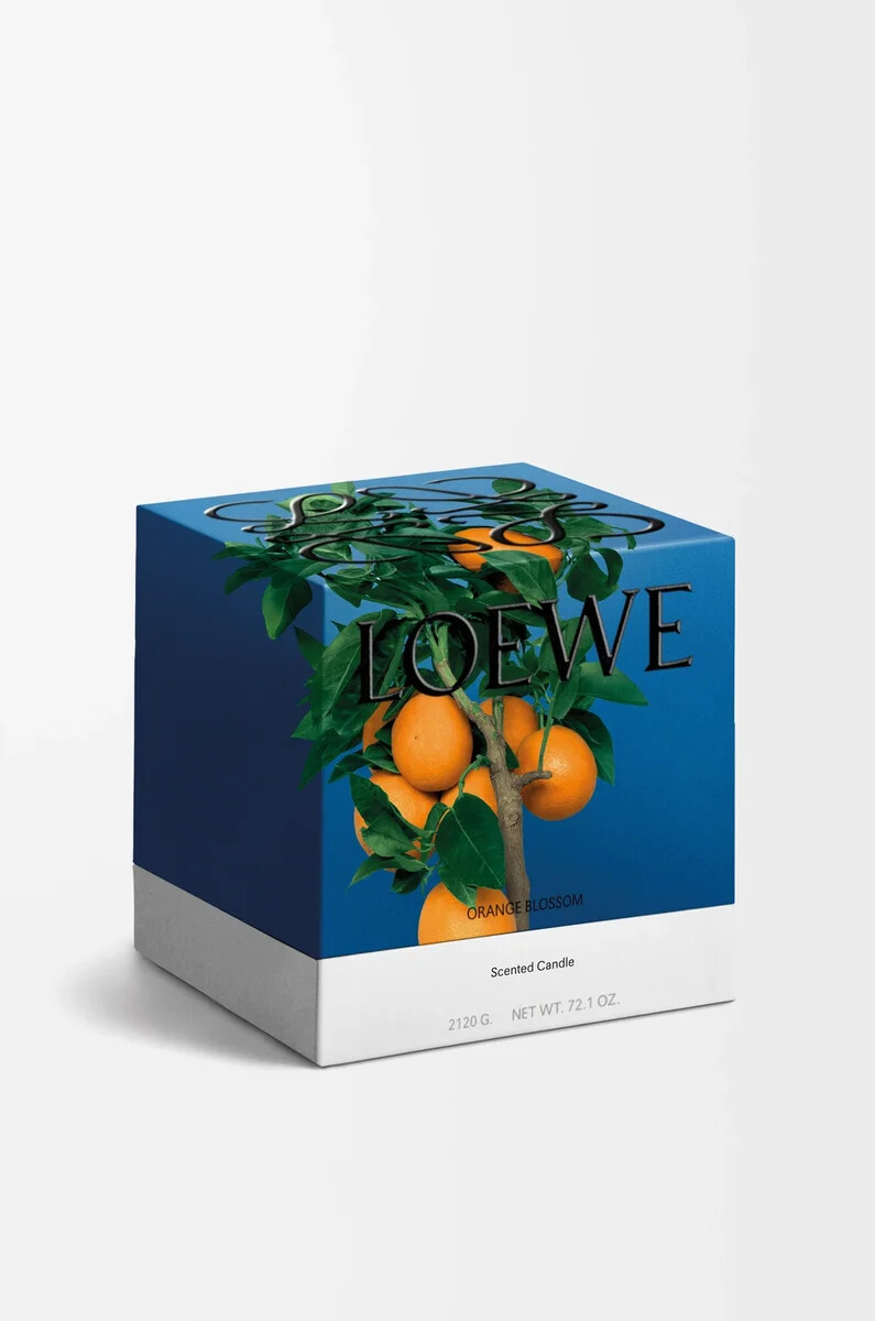 candela grande orange blossom mandarino brillante