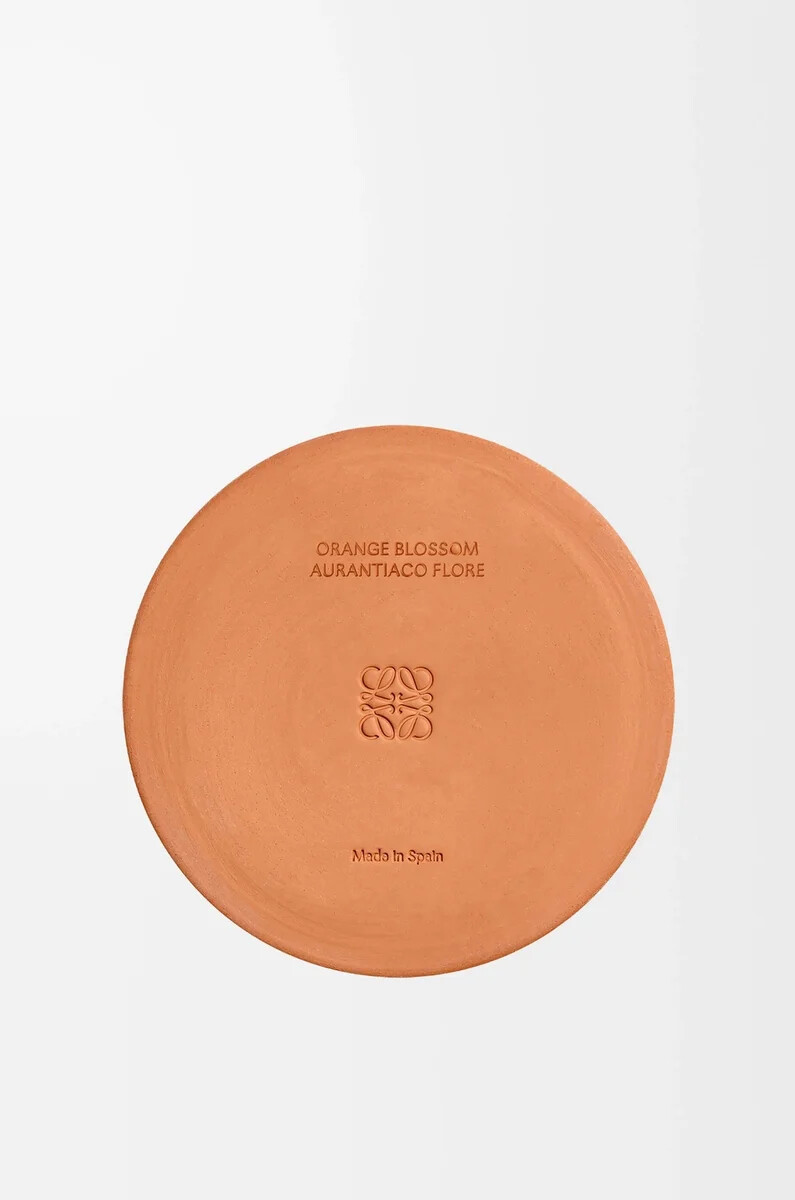 candela grande orange blossom mandarino brillante