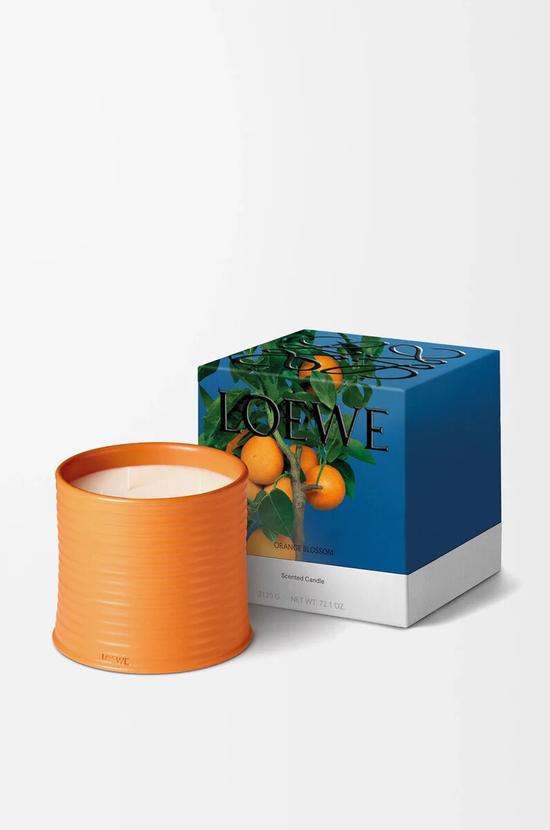 candela grande orange blossom mandarino brillante