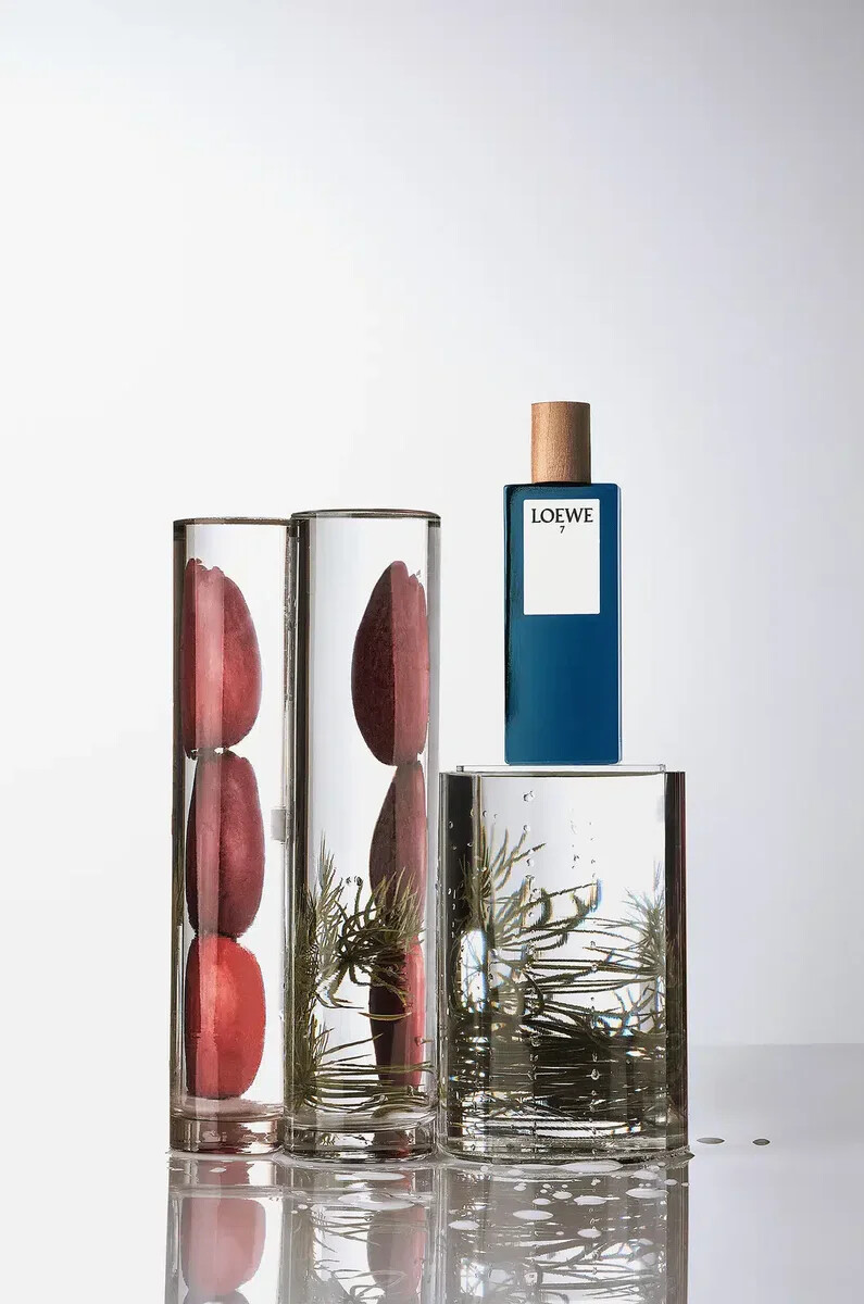 loewe 7 eau de toilette 50ml incolore