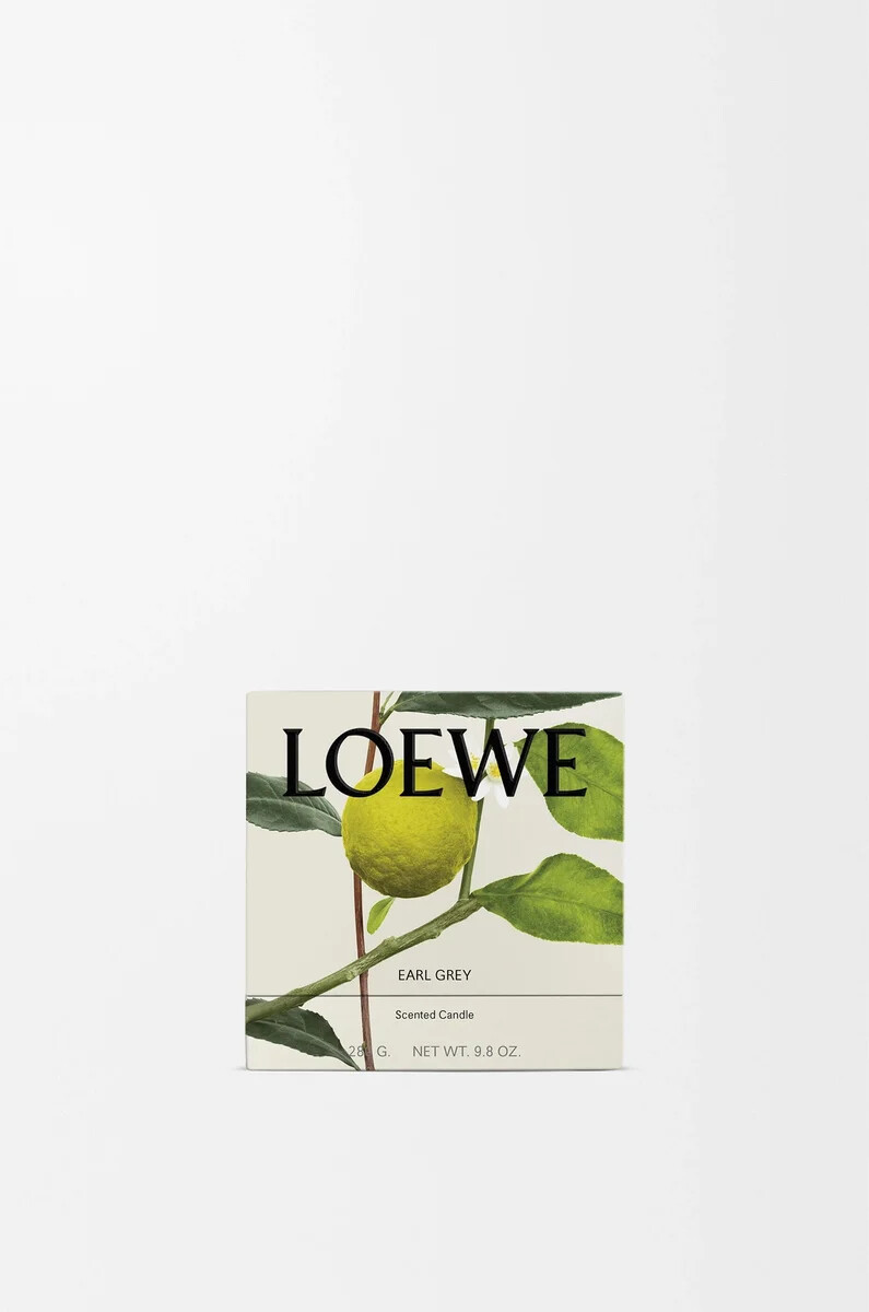 candela profumata midi earl grey oro